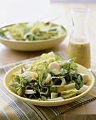 Salad with Romaine Lettuce and Avocado, Dressing in Bottle
