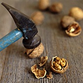 Walnuts; Cracking with Hammer