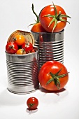 Various types of fresh tomatoes in food cans