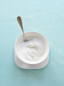 Bow of Greek Yogurt with Spoon