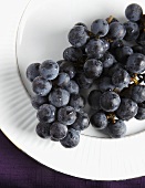 Freshly Washed Concord Grapes On a White Plate