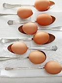 Organic Free Range Brown Eggs on Antique Spoons