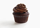 Chocolate Cupcake with Chocolate Frosting and Sprinkles