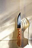 Steak Knife and Fork on White Table Cloth
