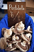 Fresh Portabello Mushrooms at a Farmer's Market; Price Sign