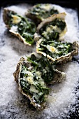 Oysters Rockerfeller