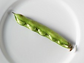 Open Lima Bean Pods; Whole Pods