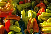 Mixed Organic Peppers; Chili, Bell and Hungarian; At Market