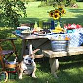 Summer Picnic Set on an Outdoor Picnic Table; Bulldog