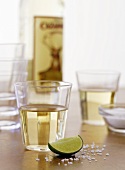 Tequila Shot with Lime Wedge and Salt
