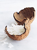 Dehydrated Coconut in Coconut Shell