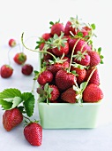 Organic Strawberries with Stems in a Dish