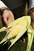 Woman Holding Partially Shucked Ear of Corn; Outdoors