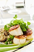 Seared Scallops with Risotto and Green Peas; Pea Sauce