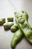 Fava Beans In and Out of Pod