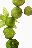 Tomatillos on a White Background