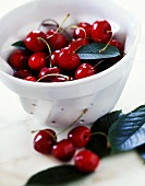 Bowl of Fresh Bing Cherries