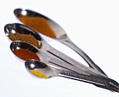 Set of Measuring Spoons with Assorted Spices; White Background