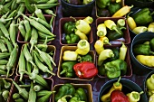 Assorted Fresh Peppers at a Market