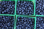 Plastic Containers of Fresh Blueberries at a Market
