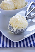 Lemon Ice Cream in Ice Cream Scoop; Bowl of Ice Cream