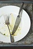 Dirty Dinner Plate with Fork and Knife
