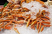 King Crab Legs on Ice