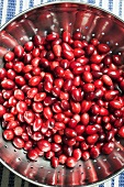 Viele Cranberries im Küchensieb von oben