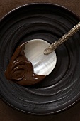 Melted Dark Chocolate on Mother of Pearl Spoon