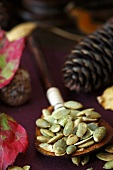 Wooden Spoon of Pumpkin Seeds; Autumn Leaves and Pine Cones
