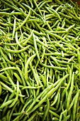 Many Fresh Green Beans