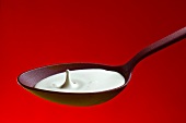 Drop of Heavy Cream Splashing into a Spoon; Red Background