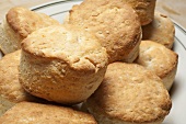 Homemade Baking Powder Biscuits