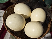 Basket of Ostrich Eggs at Outdoor Market