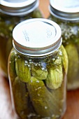 Homemade Pickles with Dill and Garlic