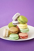 Macarons in verschiedenen Pastellfarben