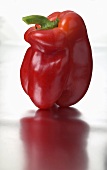 A red pepper