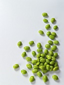 Edamame Scattered on a White Surface