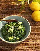 Palak Paneer in a Blue Bowl with Wooden Spoon