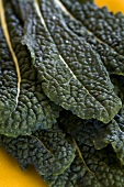 Fresh Black Kale Leaves