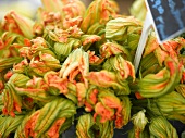 Squash Flowers at a Farmer's Market in Seattle Washington