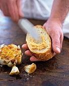 A slice of bread being spread with garlic