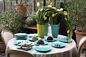 White tulips in vases and turquoise crockery on a table