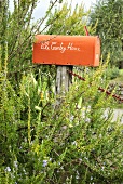 Mailbox on wooden posts