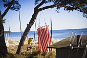 Sandstrand mit Meerblick - Rot-weiss gestreifte Umkleide hängt am Baum eines