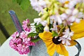 Flowers in a watering can