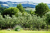 Blick über Gartenzaun auf typisch italienische Hügellandschaft