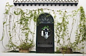 Open front door in the plant covered facade of a Moroccan villa
