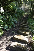Stone steps through a lush garden on a slope