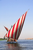 Segelboot mit rotweiss gestreiften Segeln auf dem Fluss, Nil, Ägypten